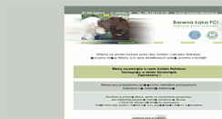Desktop Screenshot of barwna-laka.pl
